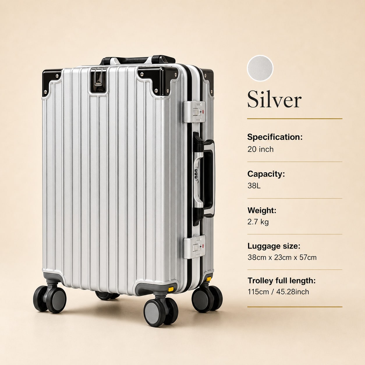 Aluminum Frame Carry On Luggage - 20